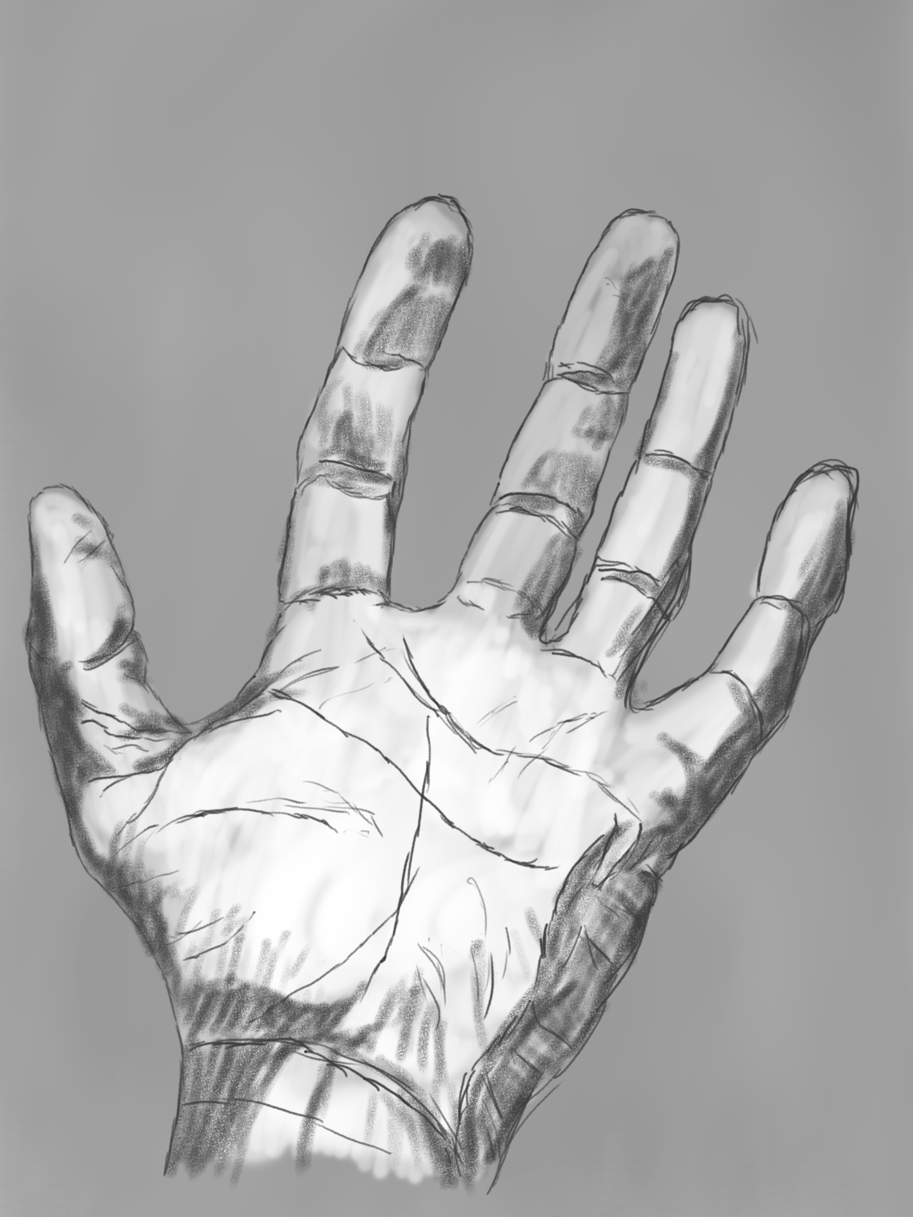 Digital drawing of that same hand