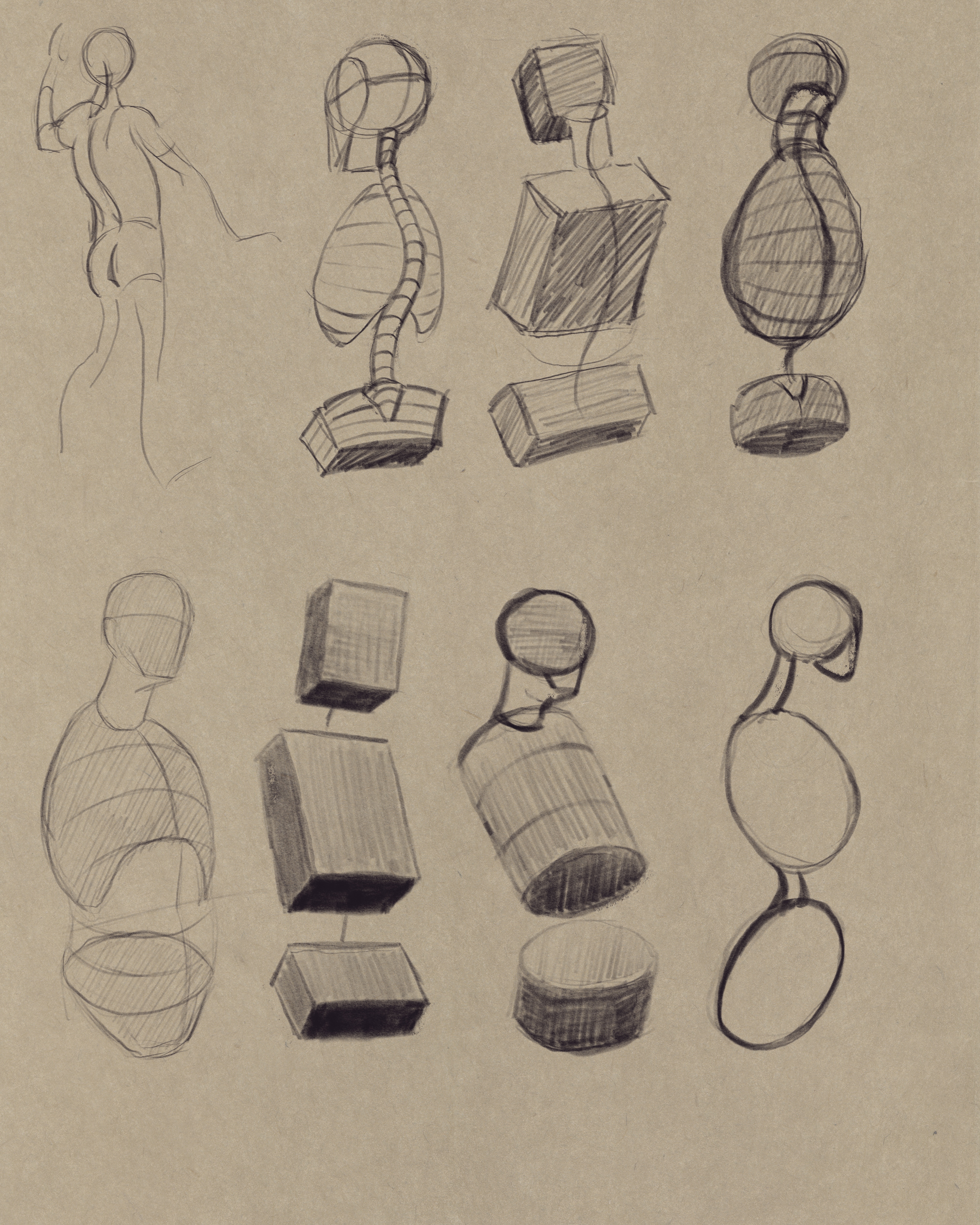 Spinal cords in a variety of views