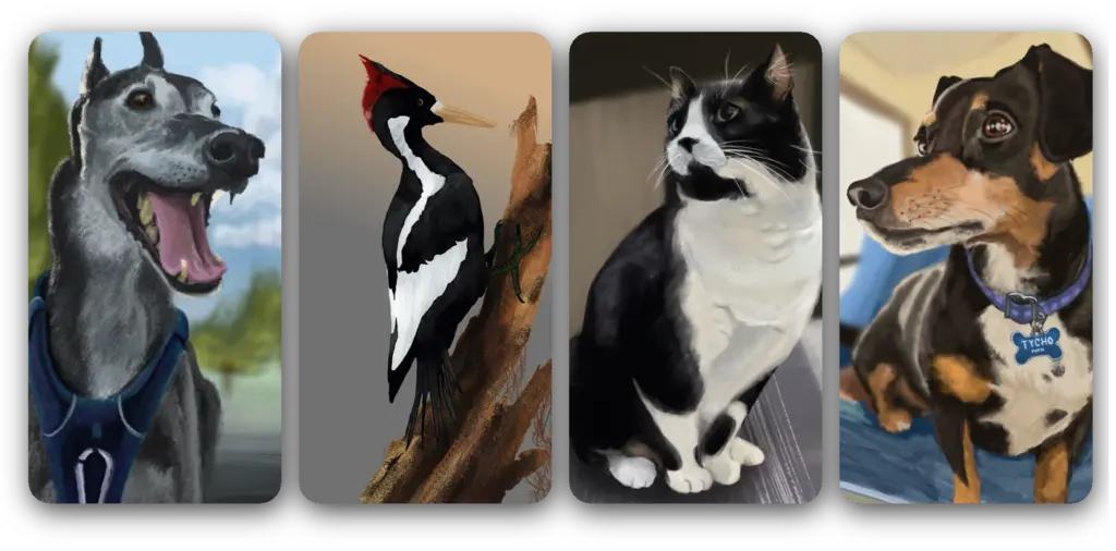 Animals