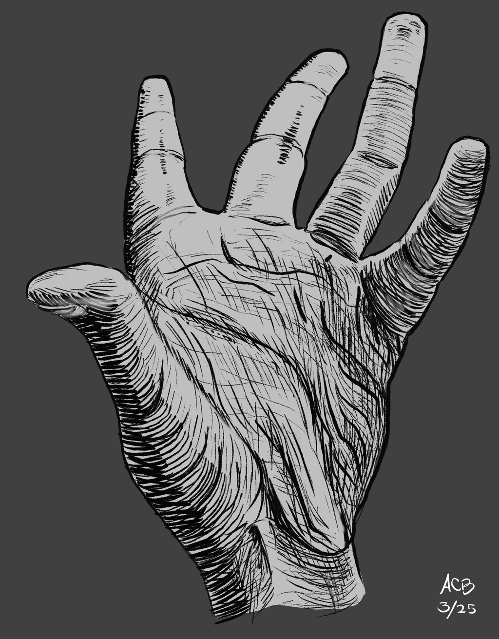Pen & ink style drawing of hand with fingers curling in a variety of directions