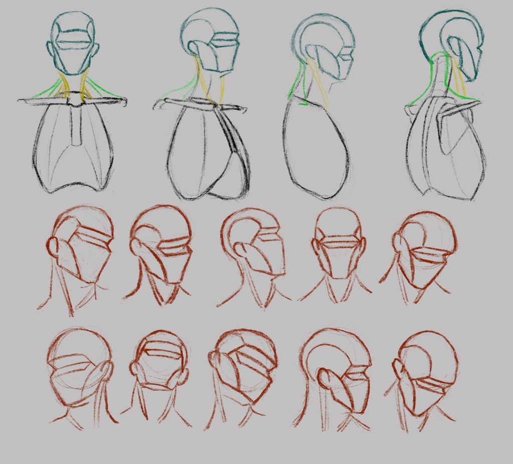 4 simplified diagrams of head and neck anatomy, followed by 10 simplified head sketches