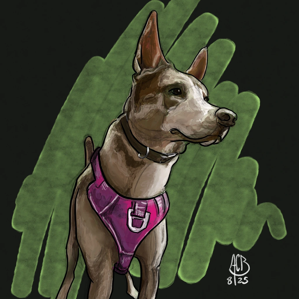 Luna, a brown and beige dog, is poised and alert in front of a swirl of green watercolor. She is wearing a pink and purple harness.