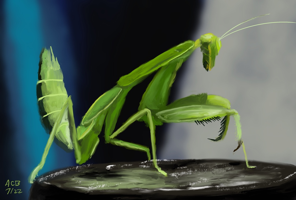 Painting of a praying mantis atop a black block